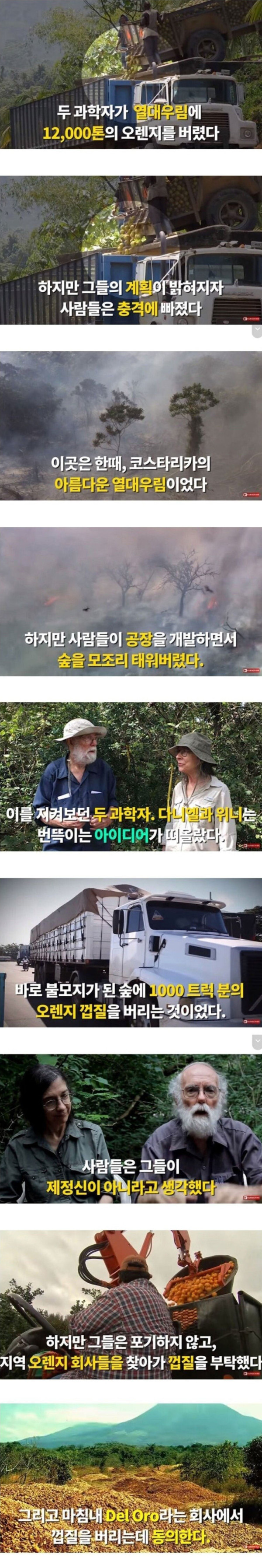 황무지에 오렌지껍질 12000톤을 갖다버리면??