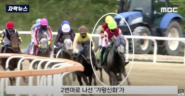 한국 경마 근황