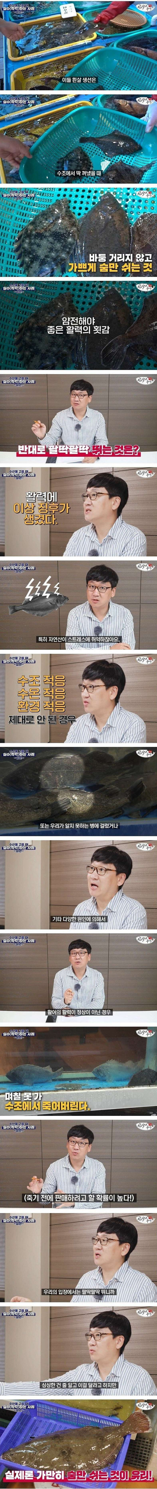 수산시장에서 횟감 고를때 꿀팁