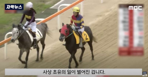 한국 경마 근황