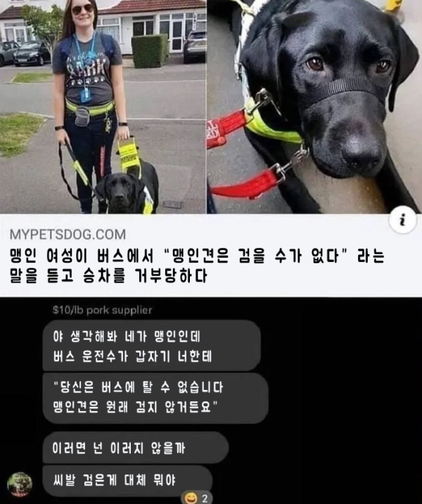 맹인견 색 때문에 승차 거부당한 여성