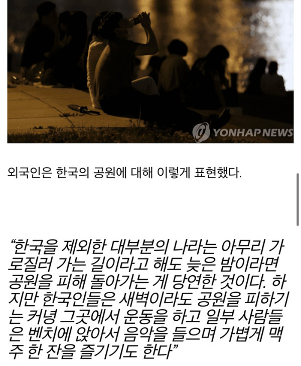 외국인들이 경험한 한국공원의 밤