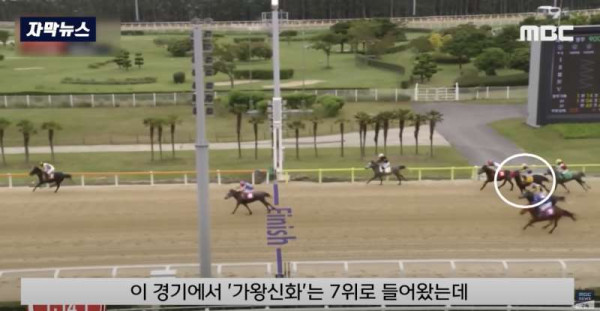 한국 경마 근황