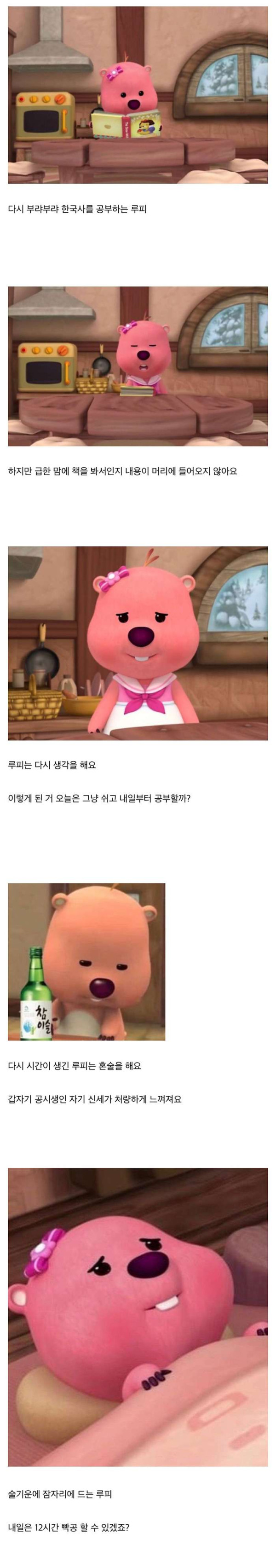 공시생 루피의 하루