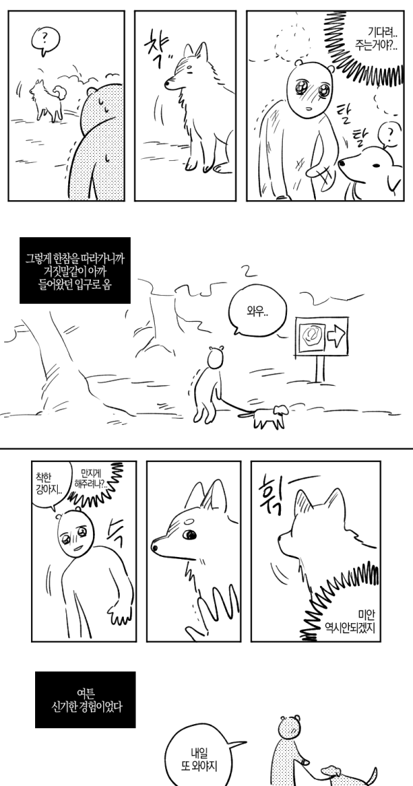 개산책하다가 길 잃은 이야기