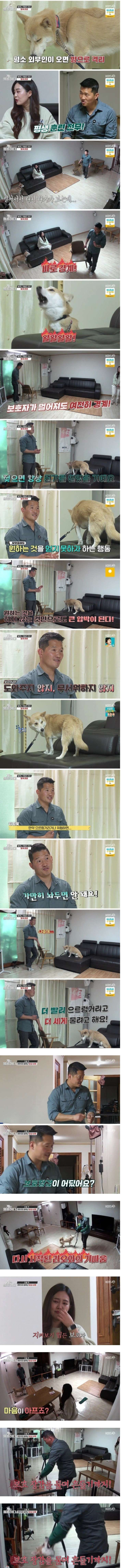 개훌륭 강형욱 근황