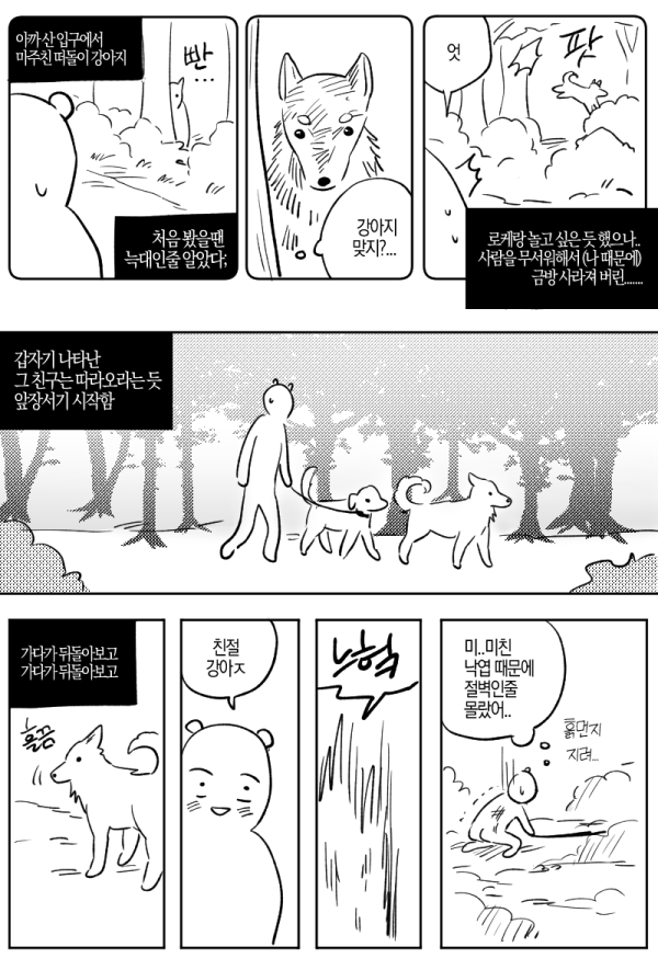 개산책하다가 길 잃은 이야기