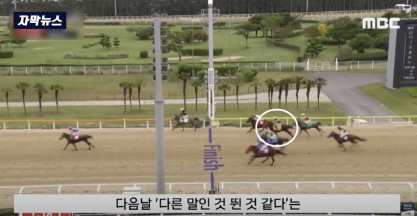 한국 경마 근황