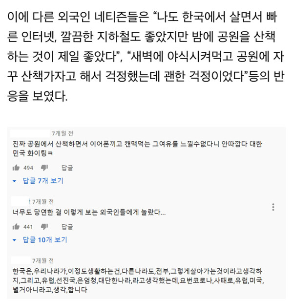 외국인들이 경험한 한국공원의 밤