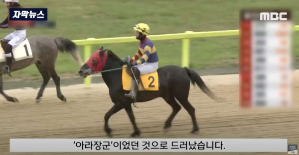 한국 경마 근황
