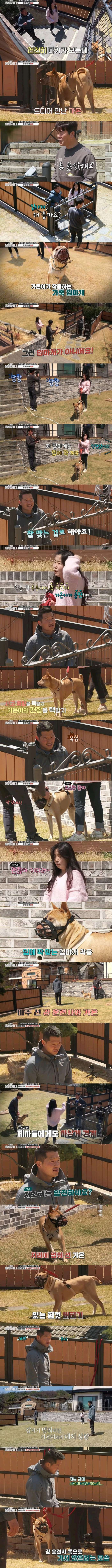 변명하는 보호자를 본 강형욱의 깊은 빡침