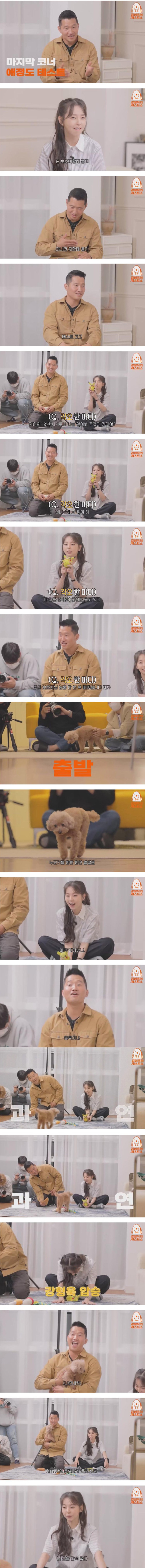 강형욱 vs 안소희 10년 키운 반려견의 선택은?