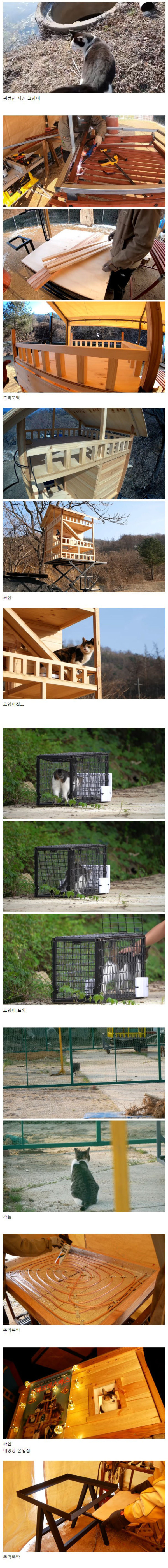 평범하지 않은 시골 캣대디