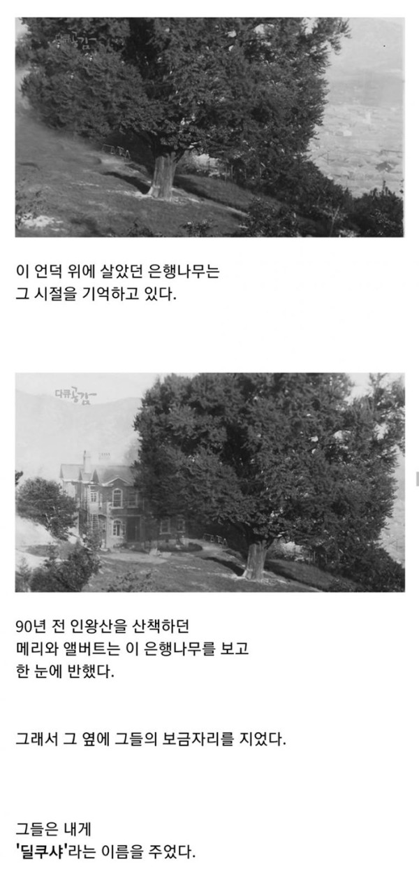 서울 한복판에 미스터리한 건물 "딜쿠샤"
