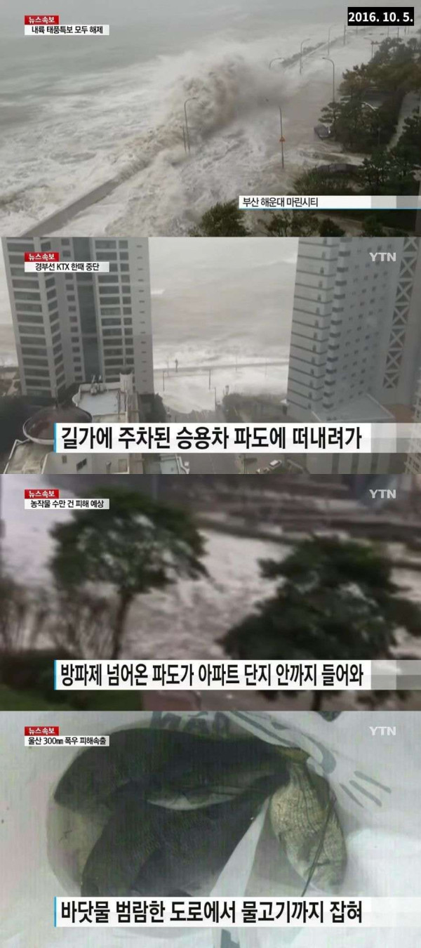 태풍때마다 침수되던 마린시티 근황