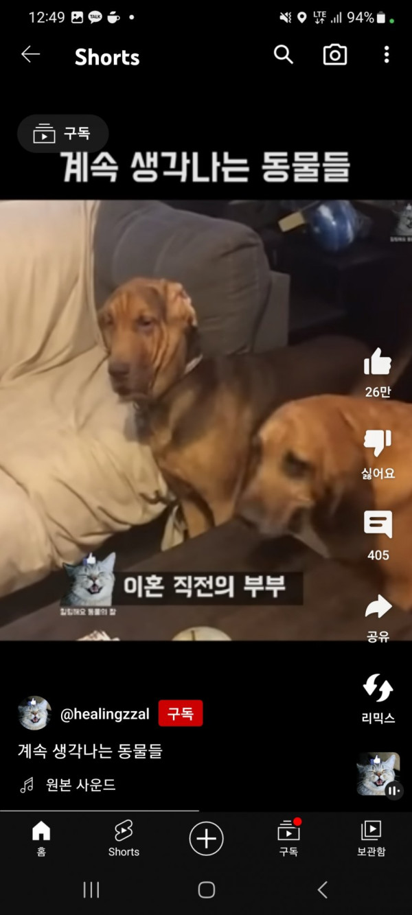 드라마 카지노에 상구를 닮은 멍멍이