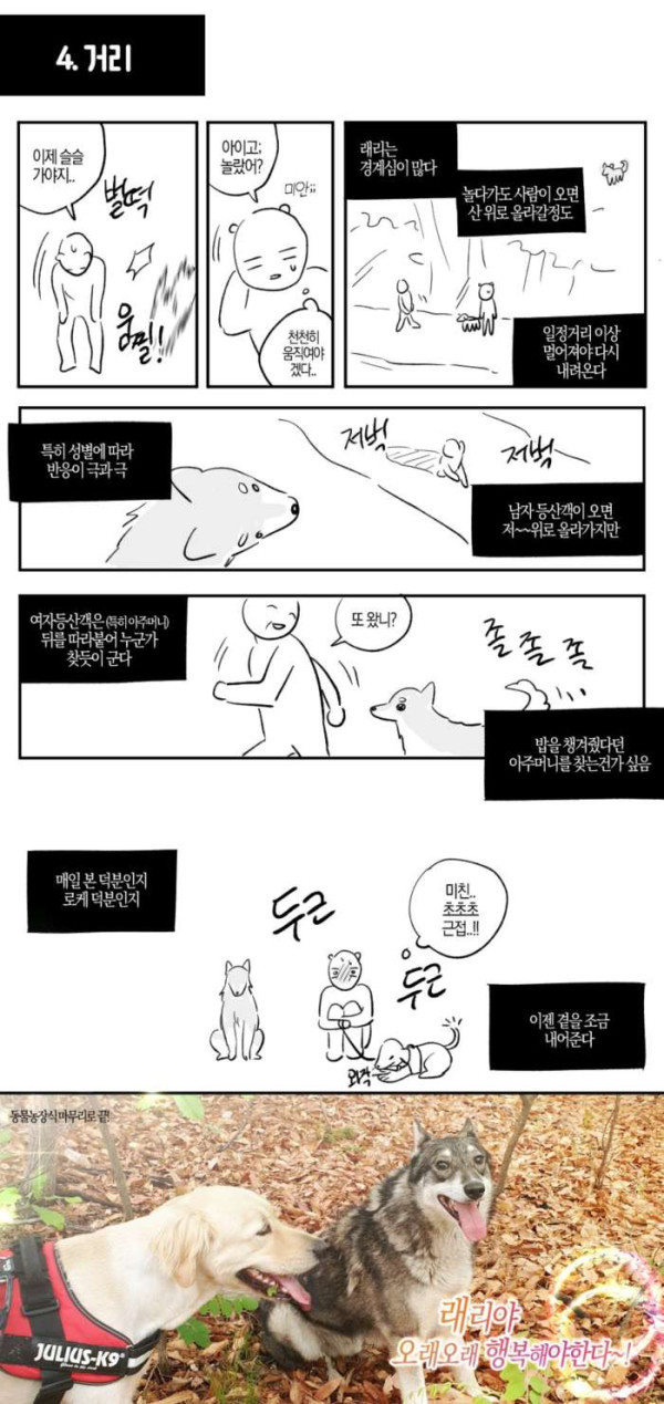 길 안내해주던 들개 근황