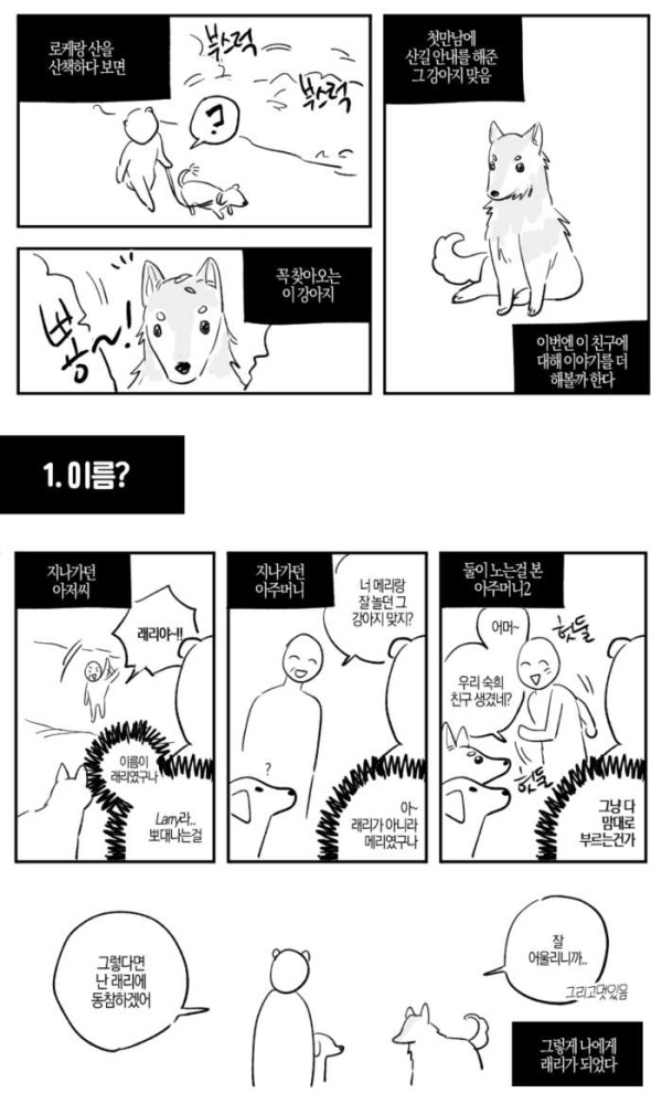 길 안내해주던 들개 근황