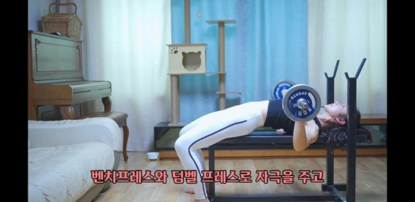 가슴이 커지고 싶어서 헬스를 시작했다..