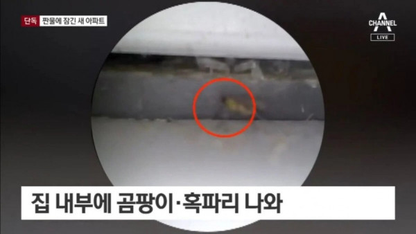 오션뷰로 홍보했던 부산 아파트 근황