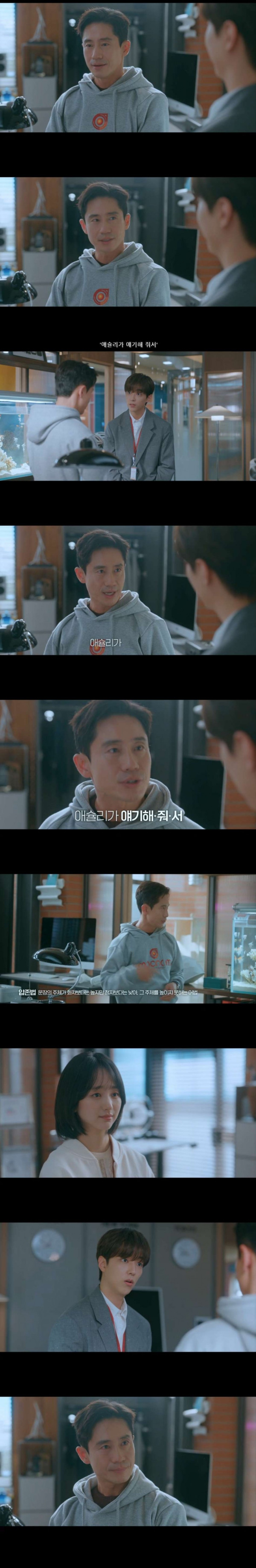 우리는 수평적 관계라고 자랑하는 스타트업 회사 특징