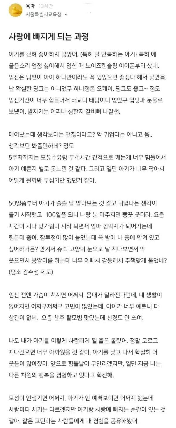 애를 싫어하는 사람이.. 애를 낳았을 때