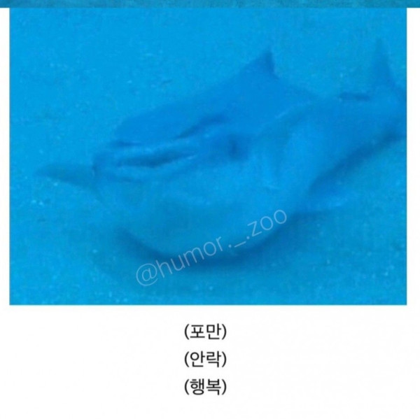 인간 덕분에 꿀빨고 있는 생물