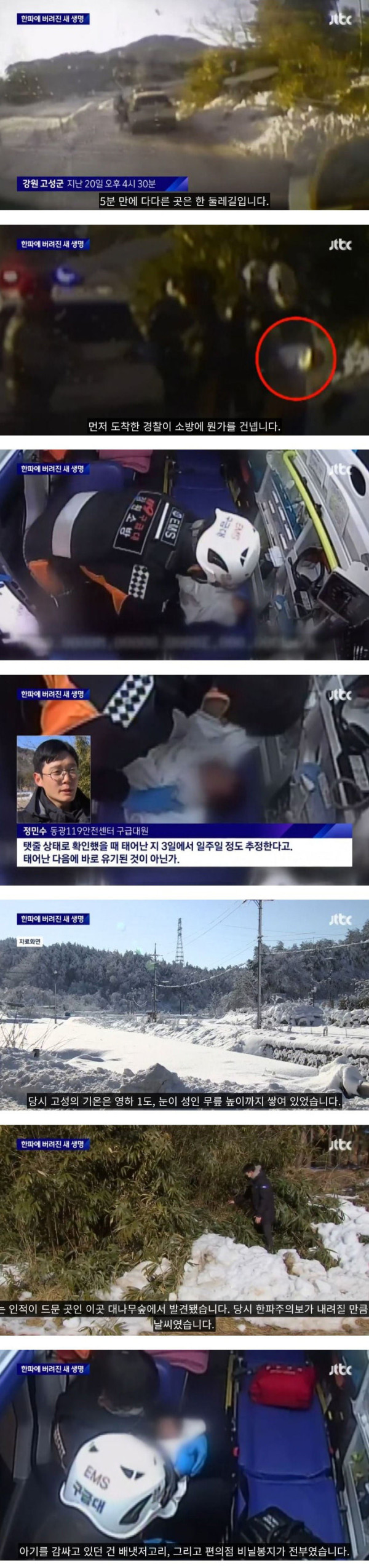 탯줄도 안 뗀 아기를 숲속에 유기한 20대 친모