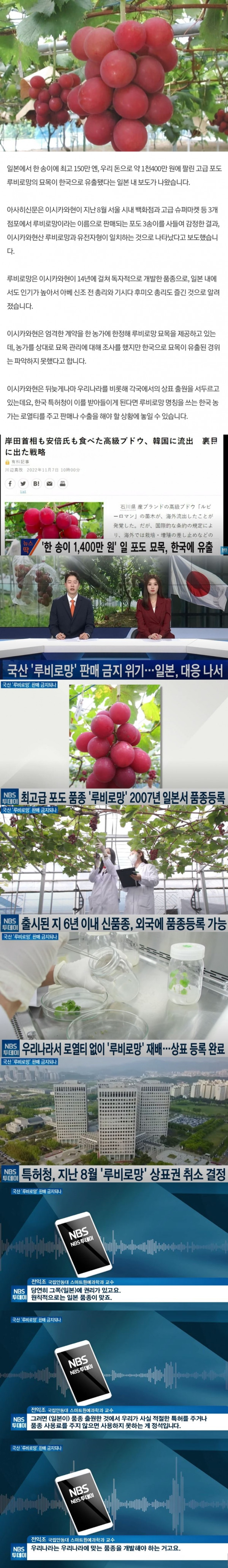 한 송이에 1400만원 하는 일본 포도 한국에 유출