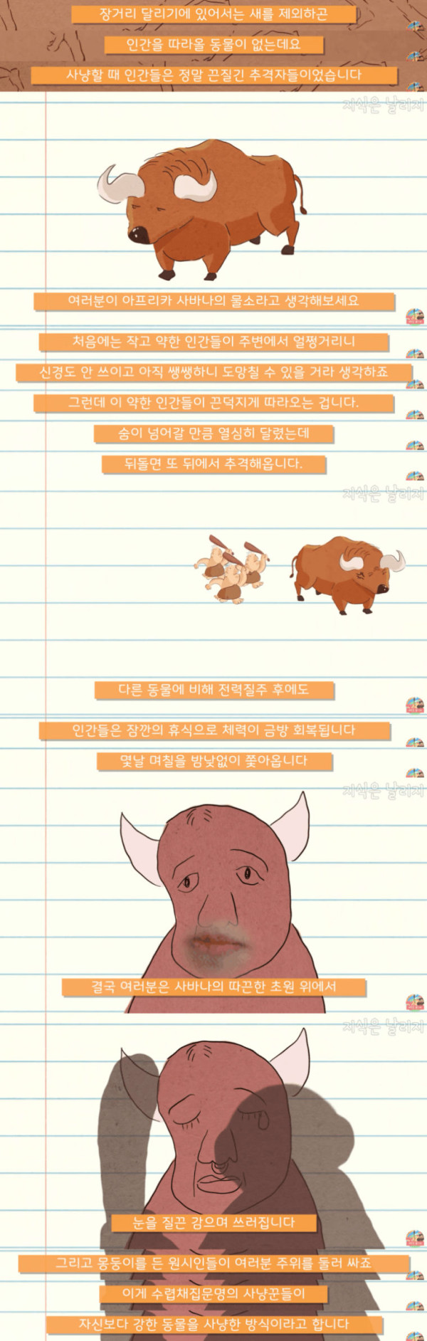 인간이 근육을 포기하고 얻은 것