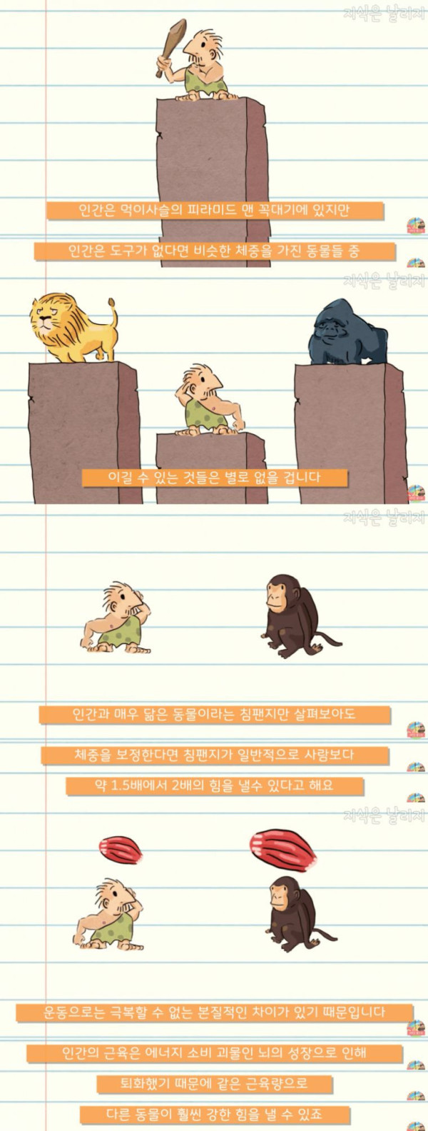 인간이 근육을 포기하고 얻은 것