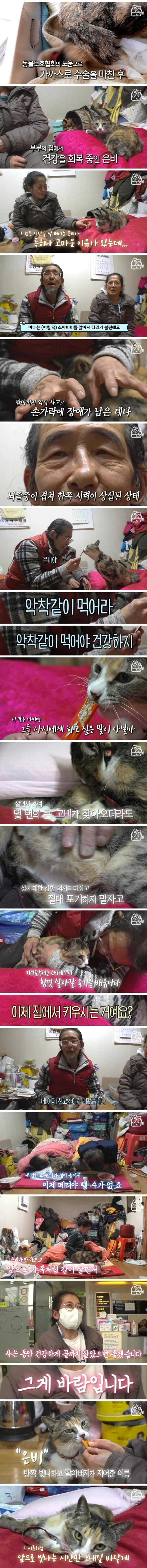 자신의 잘린 다리를 물고 온 고양이