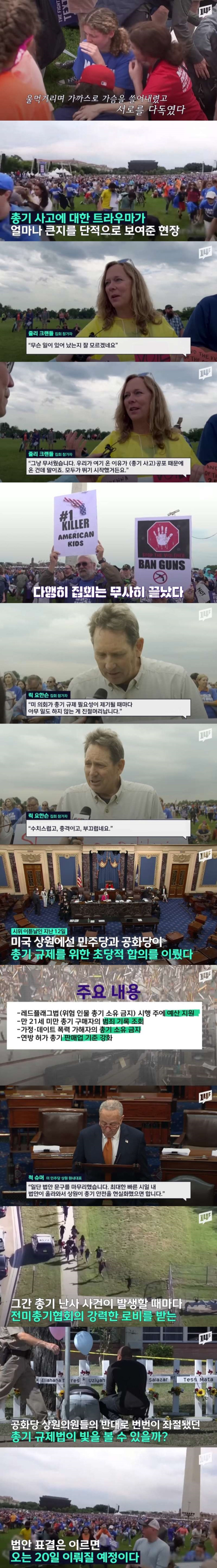 극단적 총기 공포에 휩싸인 미국 근황