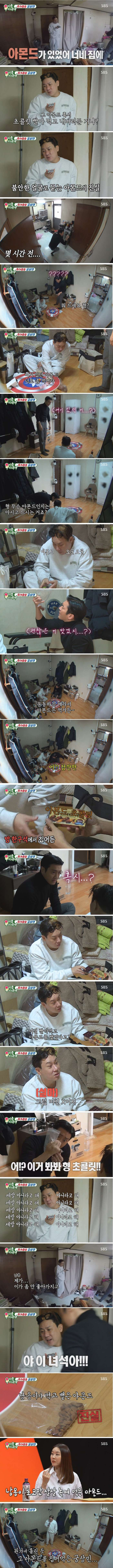 소재 다 떨어진 미우새 근황