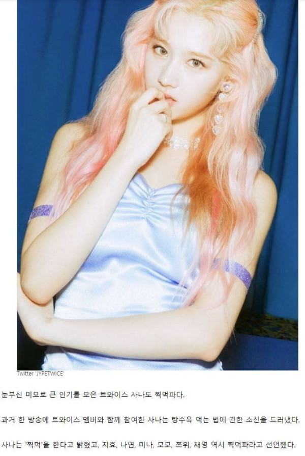 부먹 극혐하는 연예인들