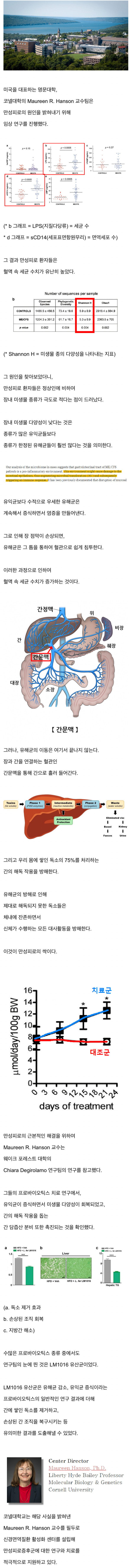 만성피로 원인