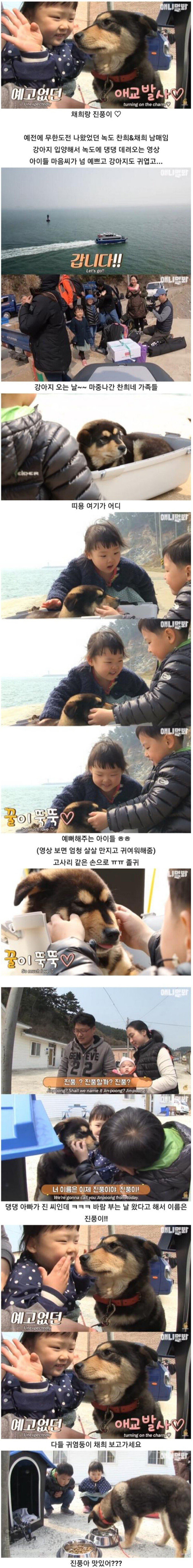 섬마을 남매가 강아지를 환영하는 완벽한 방법