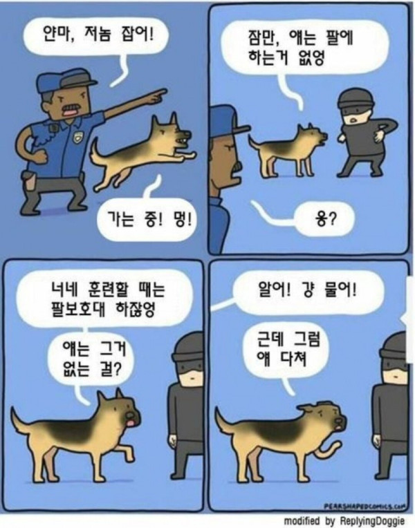 실제로 꽤 흔하다는 경찰견 해고 사유
