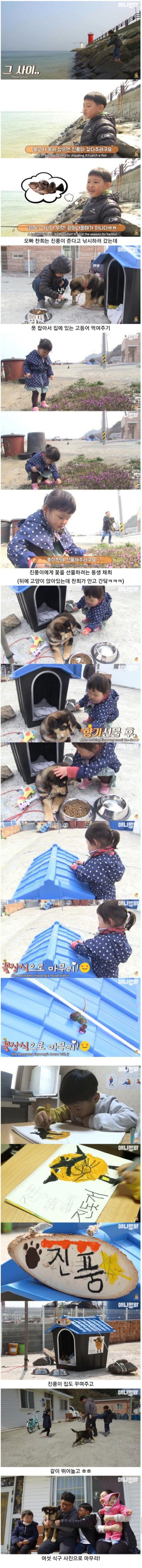 섬마을 남매가 강아지를 환영하는 완벽한 방법