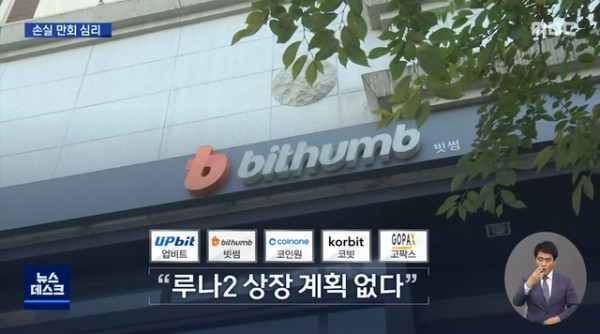 루나코인 2.0 출범