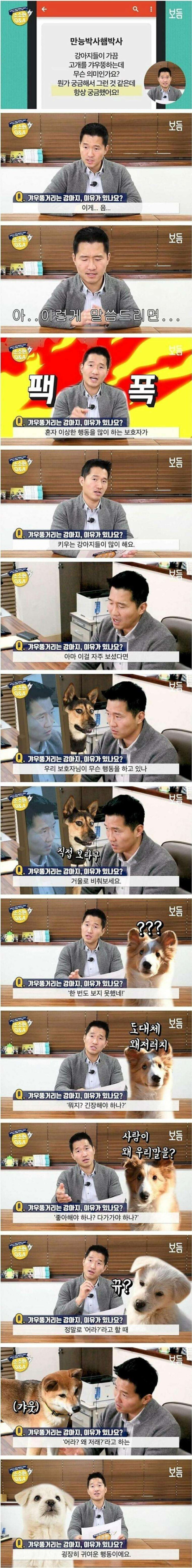 강아지들이 고개 갸우뚱하는 이유