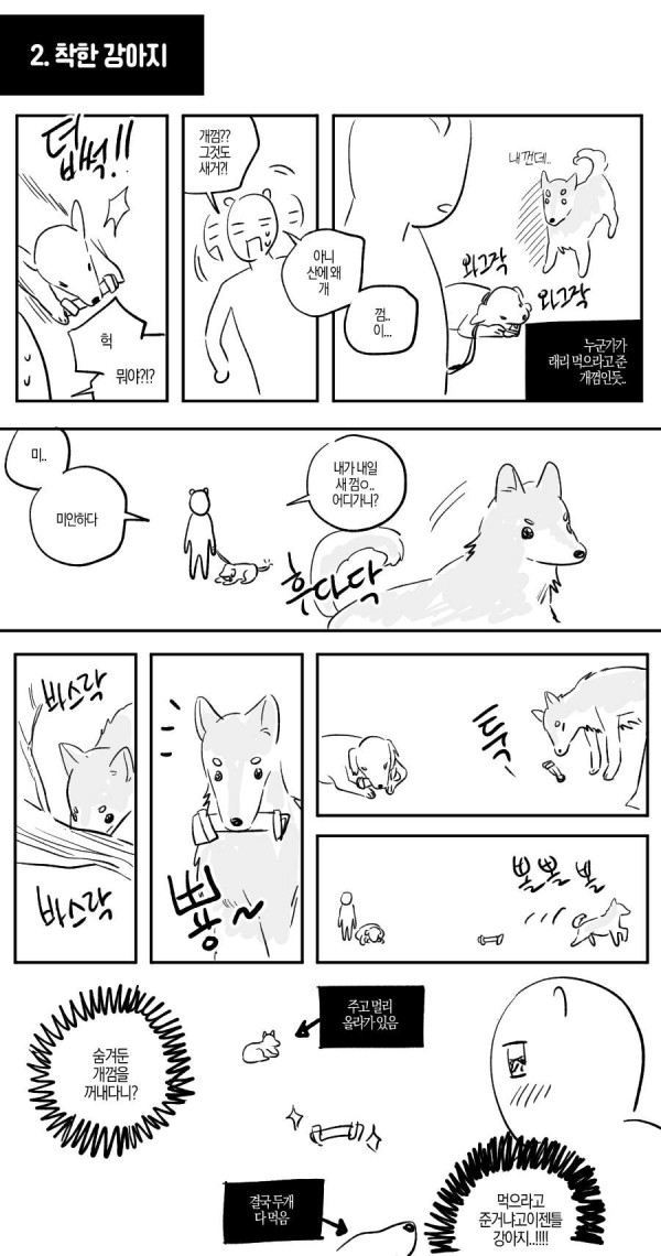 산책중에 만난 길 안내 해주던 들개
