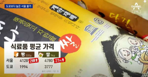 현재 물가 근황