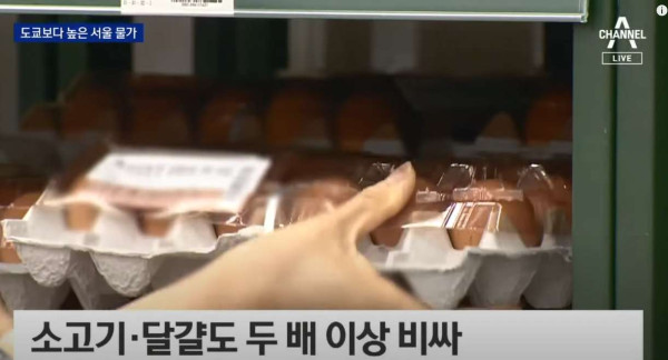 현재 물가 근황