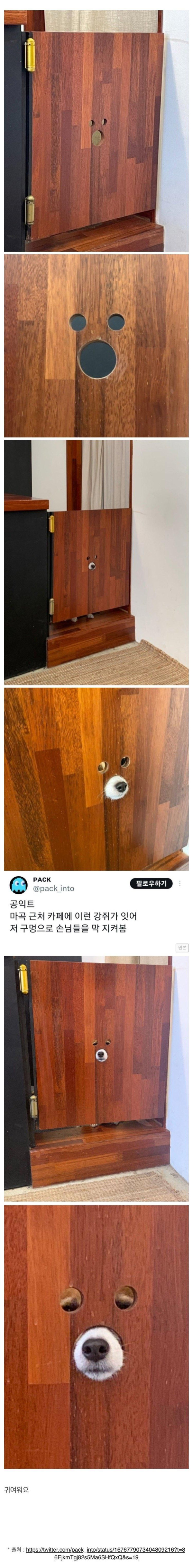 어느 카페에 있는 수상한 구멍