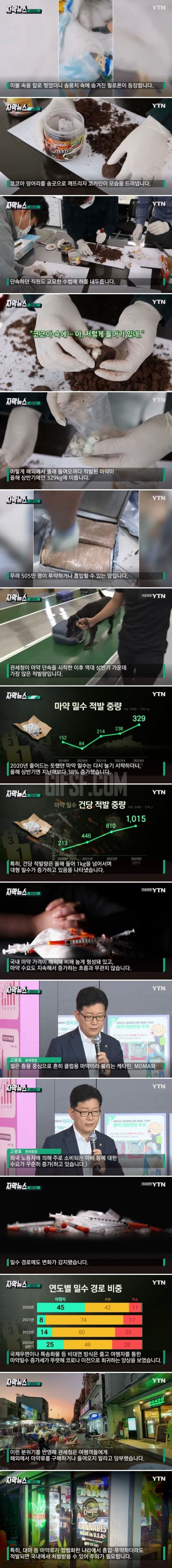 대한민국 마약 밀수 근황