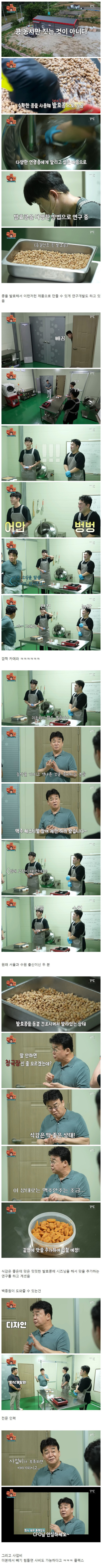 예산 맥주 축제에 청년들도 신경쓴 백종원 근황