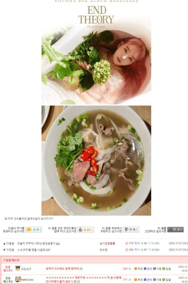 표절 의혹 가수 윤하, 결국 지상파까지 진출