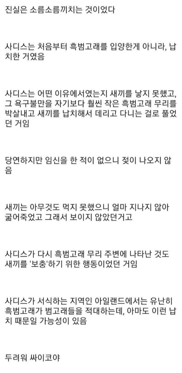 흑범고래 새끼를 입양한 범고래