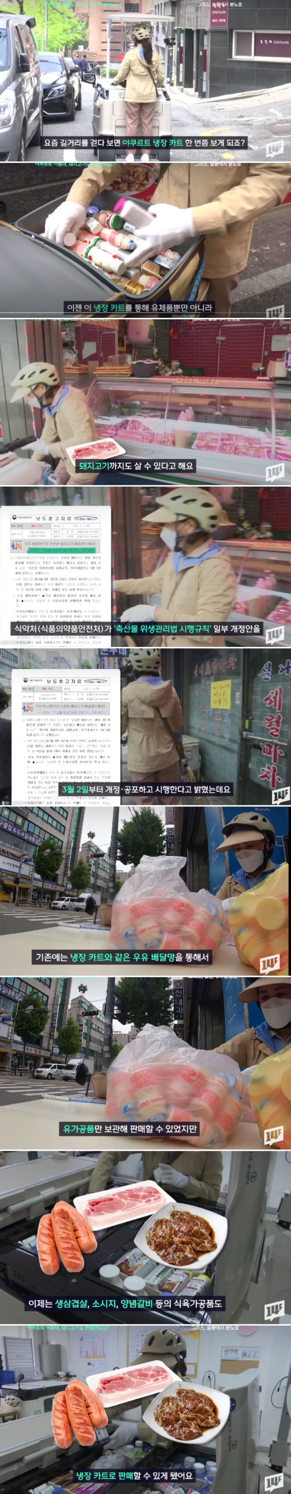 야쿠르트 아줌마 근황